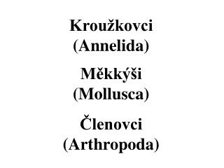 Kroužkovci (Annelida) Měkkýši (Mollusca) Členovci (Arthropoda)