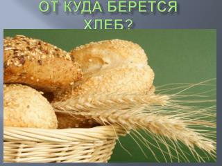 От куда берется хлеб?