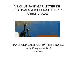 BAKGRUND EXEMPEL FRÅN MITT-NORGE Vasa, 13.september, 2012 Knut Wik