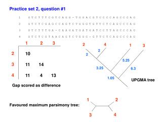 Practice set 2, question #1