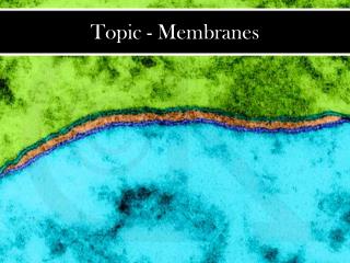 Topic - Membranes