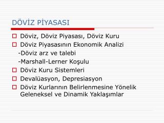 DÖVİZ PİYASASI