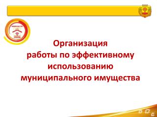 Организация работы по эффективному использованию муниципального имущества