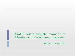 CAADP: sustaining the momentum Meeting with development partners