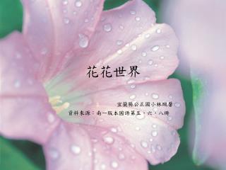 花花世界