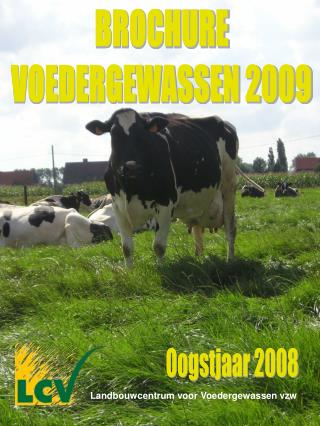 Oogstjaar 2008