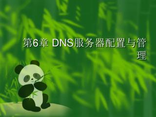 第 6 章 DNS 服务器配置与管理