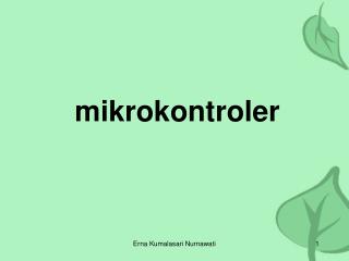 mikrokontroler