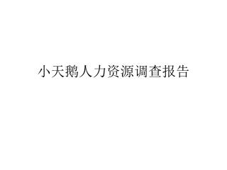小天鹅人力资源调查报告