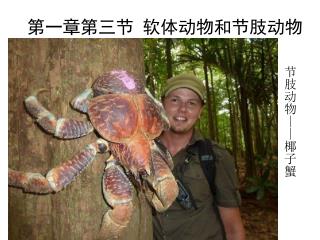 第一章第三节 软体动物和节肢动物