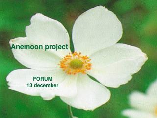 Anemoon project