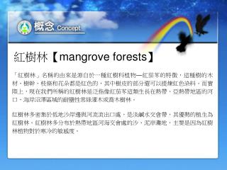 紅樹林 【mangrove forests】