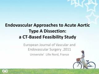 Endovascular Approaches to Acute Aortic Type A Dissection: a CT-Based Feasibility Study