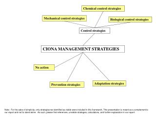 CIONA MANAGEMENT STRATEGIES