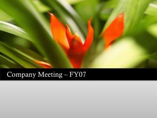 Company Meeting – FY07