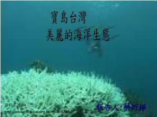 寶島台灣 美麗的海洋生態