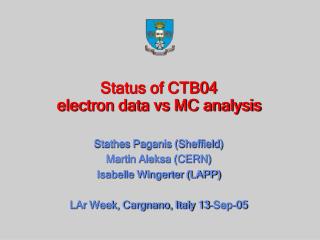 Status of CTB04 electron data vs MC analysis