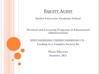 Equity Audit