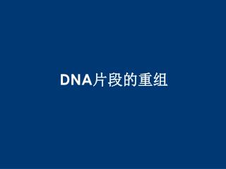 DNA 片段的重组