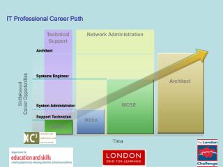 IT Professional Career Path