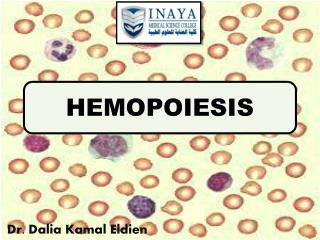 HEMOPOIESIS