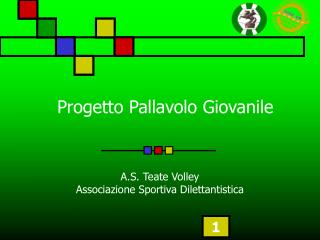 Progetto Pallavolo Giovanile