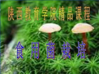 陕 西 教 育 学 院 精 品 课 程
