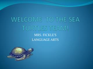 WELCOME TO THE SEA TURTLES TEAM!