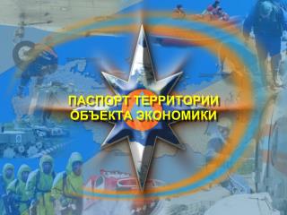 ПАСПОРТ ТЕРРИТОРИИ ОБЪЕКТА ЭКОНОМИКИ