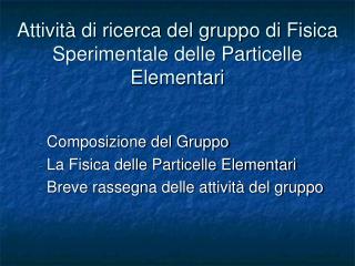 Attività di ricerca del gruppo di Fisica Sperimentale delle Particelle Elementari