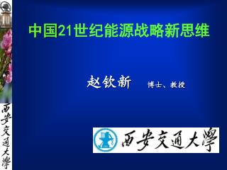 中国 21 世纪能源战略新思维