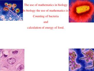 The use of mathematics in biology In biology the use of mathematics is: Counting of bacteria and