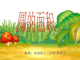 执教：西南第十二小学 李竞兰