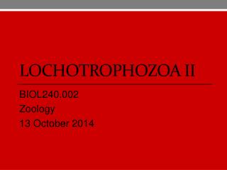 lochotrophozoa II