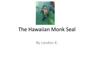 The Hawaiian Monk Seal