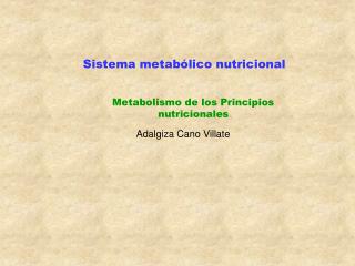 Sistema metabólico nutricional