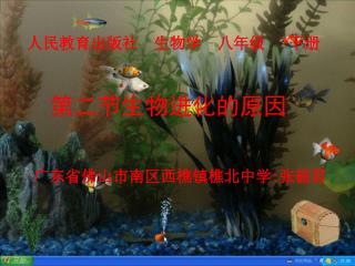 第二节生物进化的原因