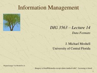 Information Management