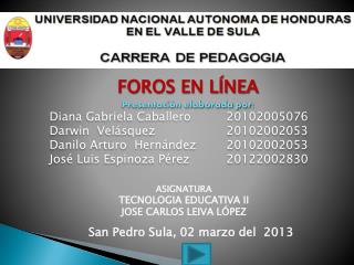FOROS EN LÍNEA Presentación elaborada por: Diana Gabriela Caballero	20102005076