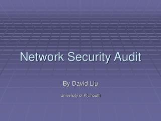 Network Security Audit