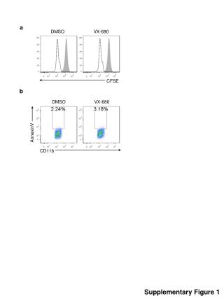 Supplementary Figure 1