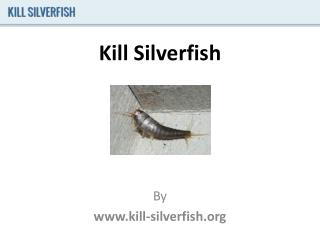 Kill Silverfish