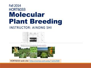 Fall 2014 HORT6033 Molecular Plant B reeding