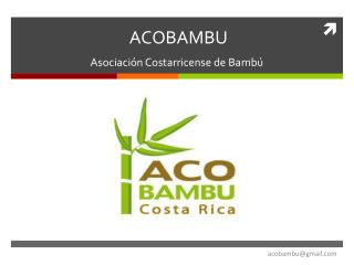 ACOBAMBU Asociación Costarricense de Bambú