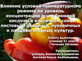 Работу выполнила: ученица 1 1 класса Чичкова Евгения. Руководитель: учитель биологии и экологии