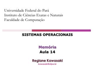 Universidade Federal do Pará Instituto de Ciências Exatas e Naturais Faculdade de Computação