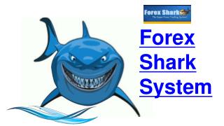 Forex Shark System