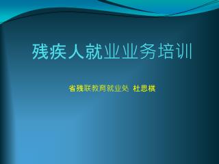 残疾人就业业务培训 省残联教育就业处 杜思棋