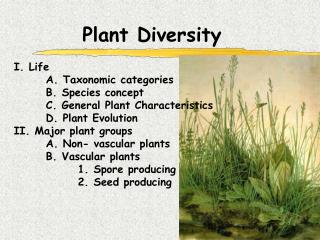 Plant Diversity