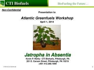 Presentation to Atlantic Greenfuels Workshop April 1, 2014